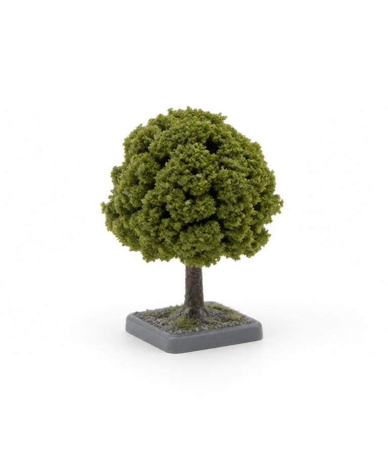 RIGHT TREE
